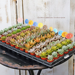 0_b9ca867a7b7b6e59c1414de40967