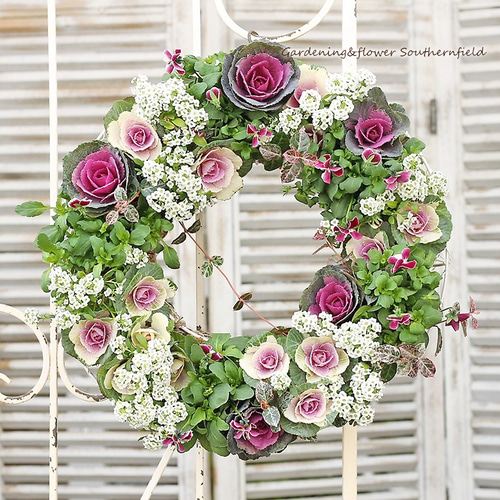 ビオラのリースmix 24㎝