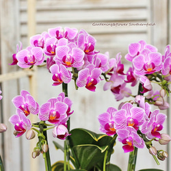 0_0420858d9e1c40e094623615c32b