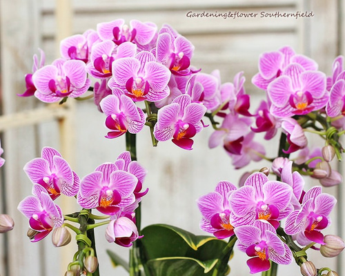 0_0420858d9e1c40e094623615c32b