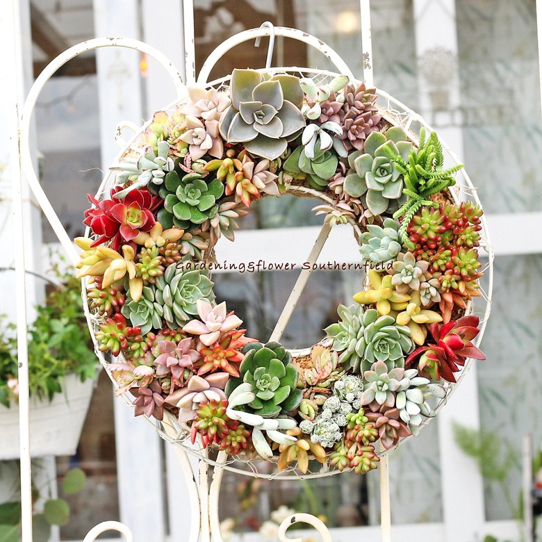 ギャザリング寄せ植えリース