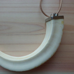 イノシシの牙の革紐ネックレス 3枚目の画像