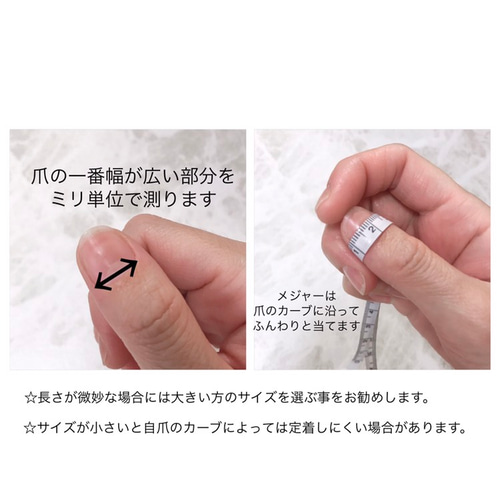 ✦⋆【おすしのし 】⋆ ✦計測用ネイルチップ しずくちゃん