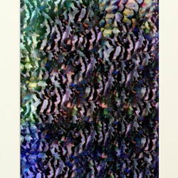 シックで神秘的な孔雀の細胞・縞模様　アートポスター(額縁なし) 4枚目の画像