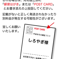 HAPPY BIRTHDAY（ポストカード3枚セット） 4枚目の画像