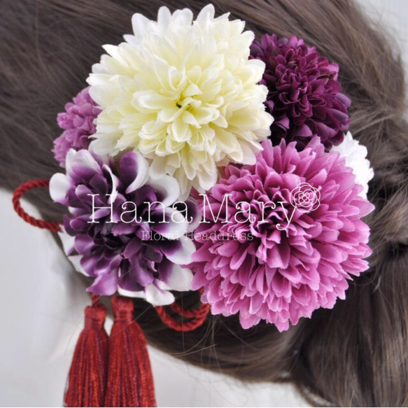 紫グラデーションダリアとピンポンマムの髪飾り 3枚目の画像