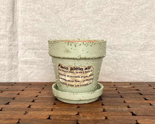 送料無料！ リメイク鉢 2.5号 受け皿付き 多肉植物 Noyzeey 通販