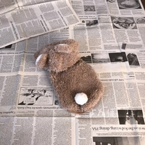 犬服】生地見本☆くまさん