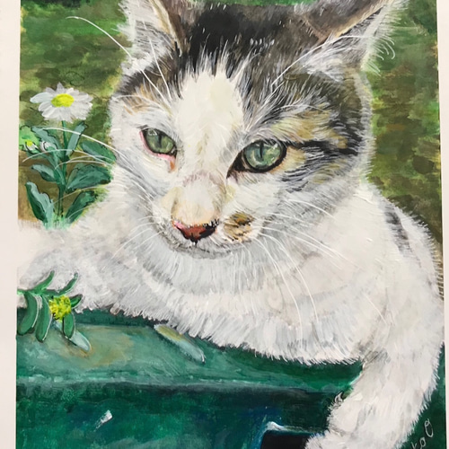 お家のワンちゃんネコちゃん、お馬さんをオーダーで絵に残しませ
