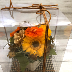ガーベラとジニアのオレンジアレンジメント　プリザーブドフラワー=送別の贈り物に=母の日のプレゼントに 5枚目の画像