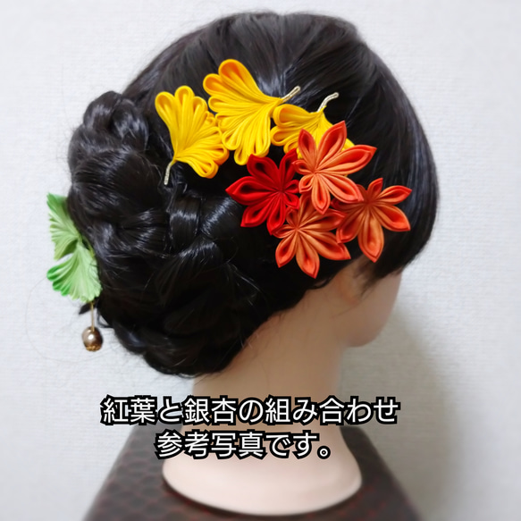 想い紅葉① 8枚目の画像