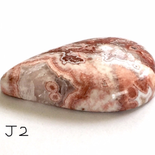 ジャスパー  ルース 99c45ad461e2d88d8656a493678b46