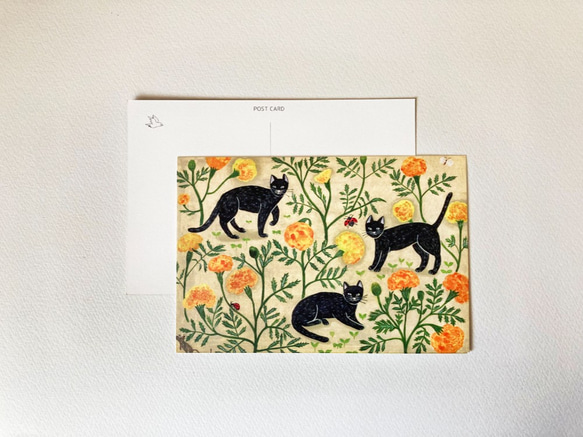 小鳥と猫のポストカード 2枚目の画像