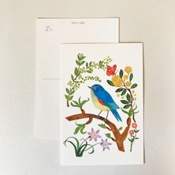 小鳥と猫のポストカード 4枚目の画像