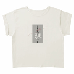 Le fil rouge　ロールアップTシャツ 5枚目の画像