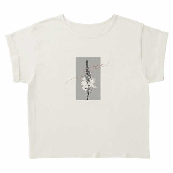 Le fil rouge　ロールアップTシャツ 5枚目の画像