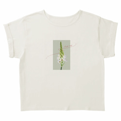 Le fil rouge　ロールアップTシャツ 6枚目の画像