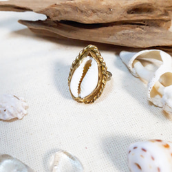 【13～14号】brass ring -cowrie shell - 5枚目の画像