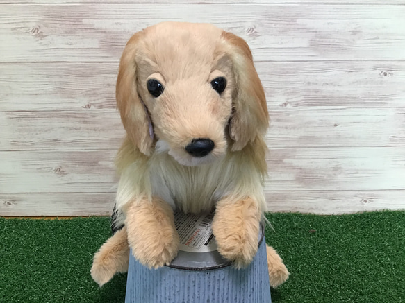 ミニチュアダックス（オーダー品） r様オーダーメイド品(ミニチュアダックスフンド) ぬいぐるみ