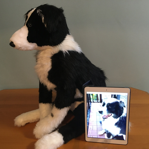 オーダーメイド品成犬(60センチ) ぬいぐるみ もんぺるしぇ 通販