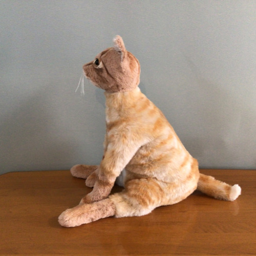 猫茶様　オーダーページ t様オーダーメイド品(愛猫ちゃん 茶トラ成猫45センチ