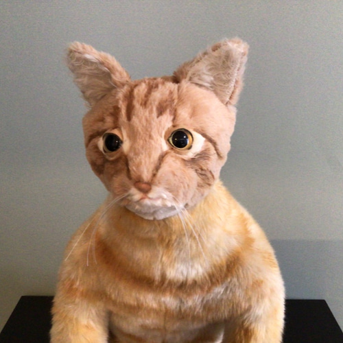 猫茶様　オーダーページ t様オーダーメイド品(愛猫ちゃん 茶トラ成猫45センチ