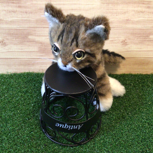 受注製作〉オーダーメイド赤ちゃん猫の頃 縫いぐるみ 〈ペットと 受注製作〉オーダーメイド赤ちゃん猫の頃 縫いぐるみ 〈ペットと
