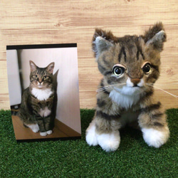 〈受注製作〉オーダーメイド赤ちゃん猫の頃　　縫いぐるみ　　　　　　　　　　　　　　〈ペットと暮らす2021〉 2枚目の画像