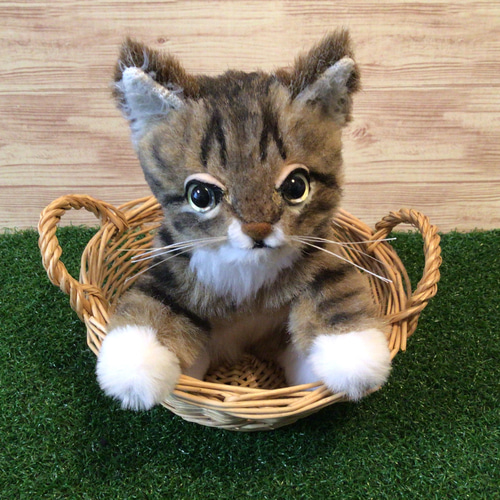 受注製作〉オーダーメイド赤ちゃん猫の頃 縫いぐるみ 〈ペットと 受注製作〉オーダーメイド赤ちゃん猫の頃 縫いぐるみ 〈ペットと