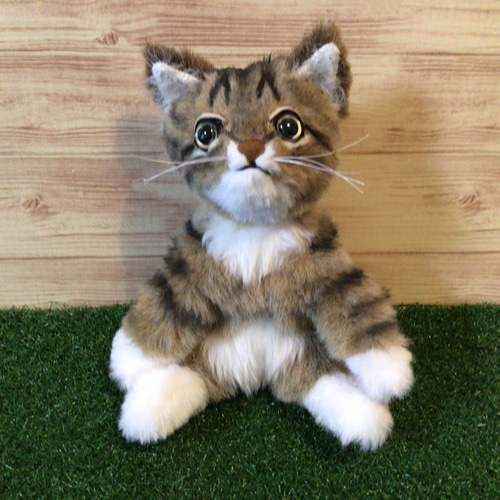 お腹ぽっこり♡スナネコベビー♡子猫ちゃん♡アートドール