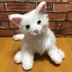 〈受注製作〉愛猫ちゃんオーダーメイド縫いぐるみ(成猫ちゃん)〈ペットと暮らす2021〉 2枚目の画像