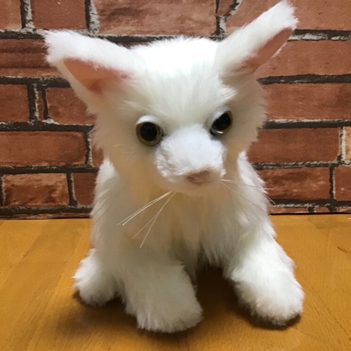 受注製作〉愛猫ちゃんオーダーメイド縫いぐるみ(成猫ちゃん