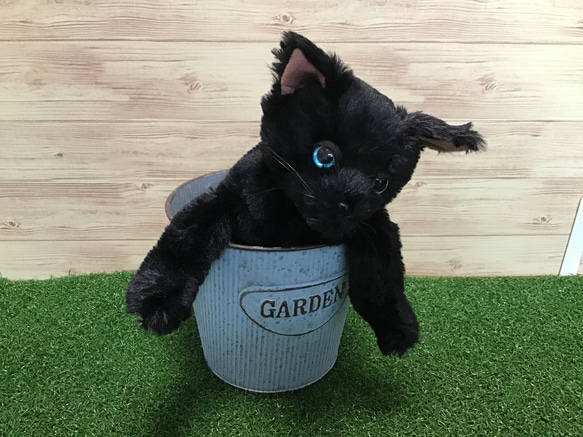 黒猫の子猫のぬいぐるみ ふとっちぃZOOにゃんこ 黒猫 ぬいぐるみ（クロネコ ねこ ネコ