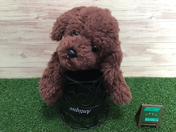 トイプードル リアルぬいぐるみ クタクタ トイプードル リアル くたくた ふわふわ 子犬 縫いぐるみ ぬいぐるみ