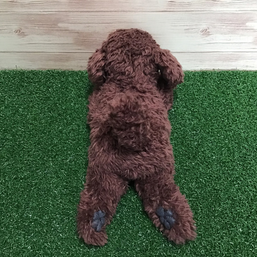 トイプードル リアルぬいぐるみ クタクタ トイプードル リアル くたくた ふわふわ 子犬 縫いぐるみ ぬいぐるみ