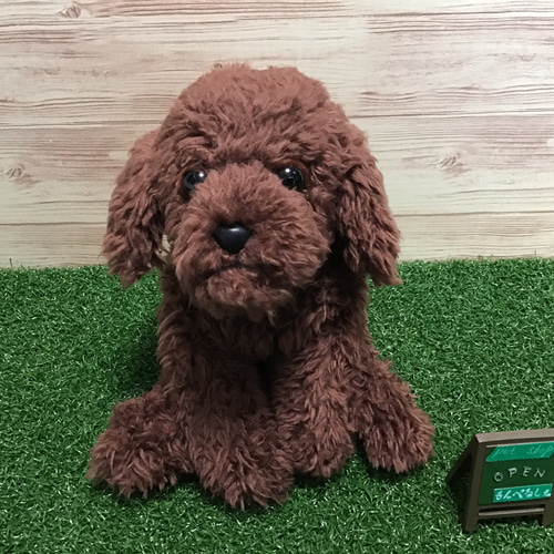 トイプードル リアルぬいぐるみ クタクタ トイプードル リアル くたくた ふわふわ 子犬 縫いぐるみ ぬいぐるみ