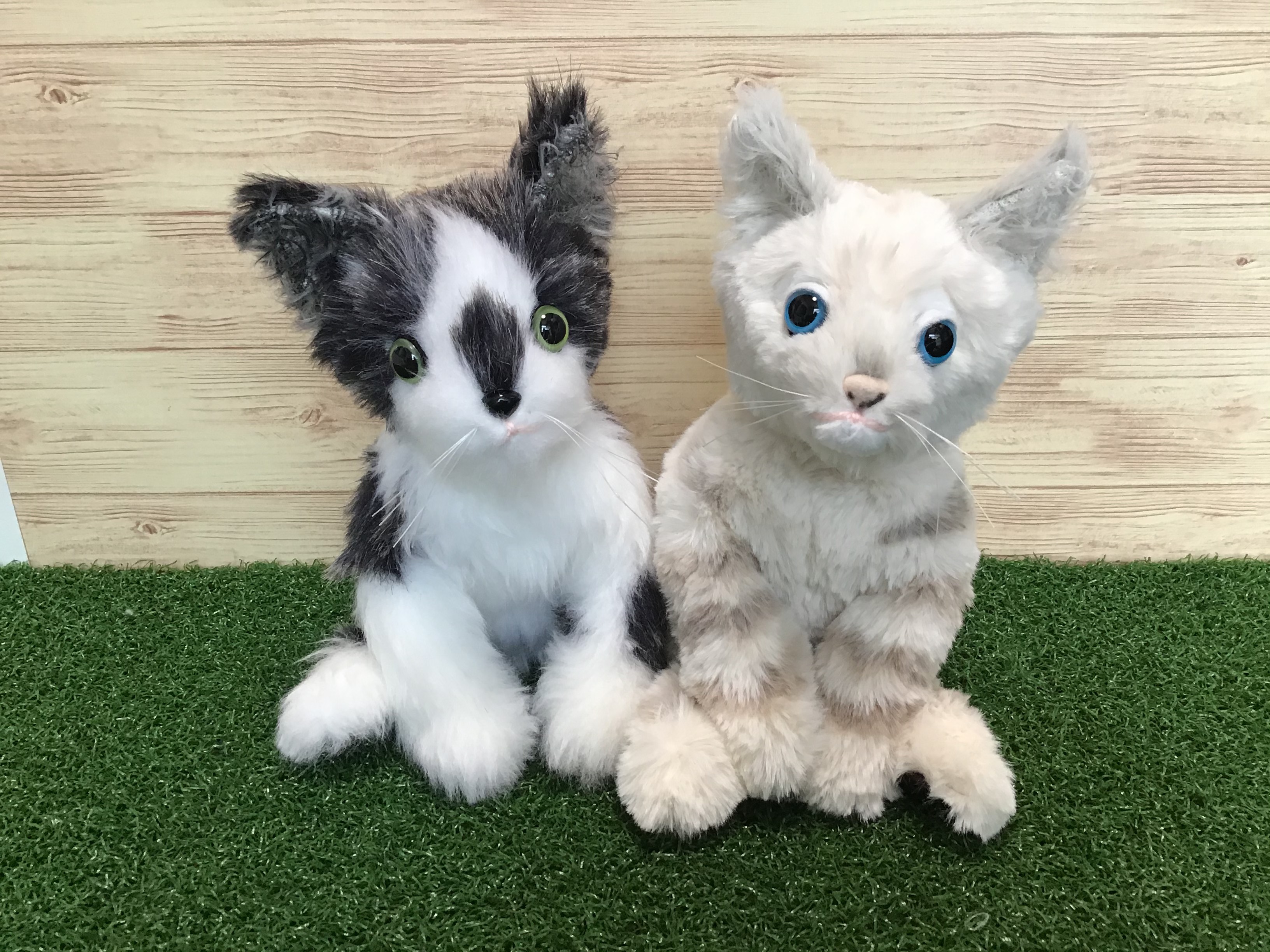 リアルふわふわ縫いぐるみオーダーメイド(子猫) 愛猫ちゃん
