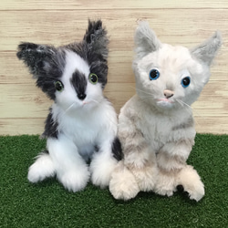 生後15日♡やわむぎゅ♡子猫ちゃん♡アートドール♡ぬいぐるみ♡ 受注製作〉愛猫ちゃんオーダーメイドふわふわ 縫いぐるみ