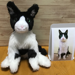 オーダーメイド品(ハチワレ成猫) 愛猫ちゃん 1枚目の画像