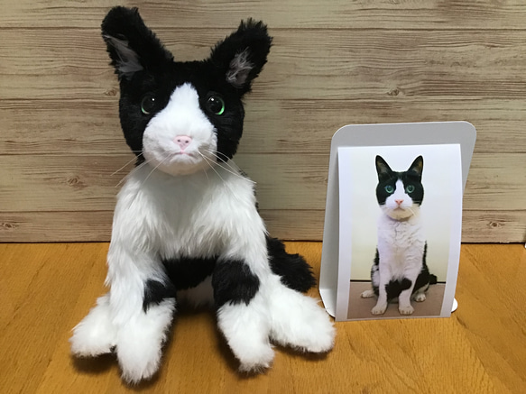 オーダーメイド品(ハチワレ成猫) 愛猫ちゃん 1枚目の画像