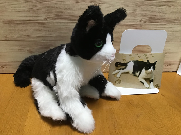 オーダーメイド品(ハチワレ成猫) 愛猫ちゃん 3枚目の画像