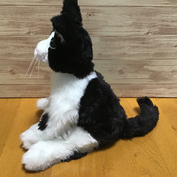 オーダーメイド品(ハチワレ成猫) 愛猫ちゃん 5枚目の画像