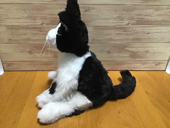 オーダーメイド品(ハチワレ成猫) 愛猫ちゃん 5枚目の画像