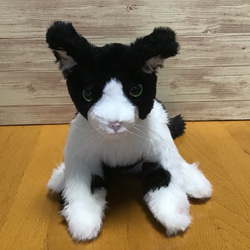 オーダーメイド品(ハチワレ成猫) 愛猫ちゃん 6枚目の画像