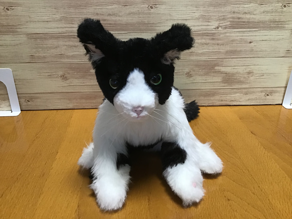 オーダーメイド品(ハチワレ成猫) 愛猫ちゃん 6枚目の画像