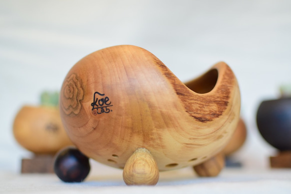 多肉用ポット さくらの木 ぷらねぽっと 大きめ足パターン 植物との相性  