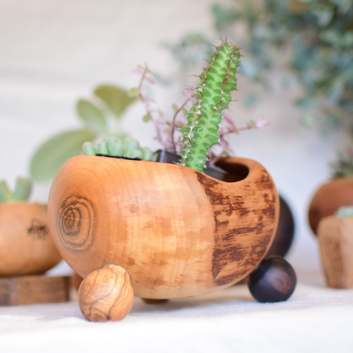 多肉用ポット さくらの木 ぷらねぽっと 大きめ足パターン 植物との相性  