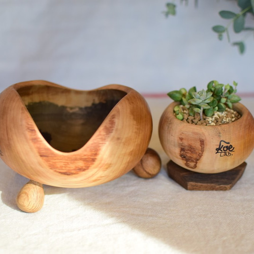 多肉用ポット さくらの木 ぷらねぽっと 大きめ足パターン 植物との相性  