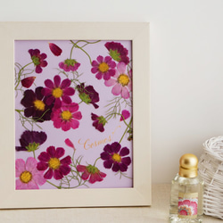 0_b00970f423fbd27906d6420ccd45