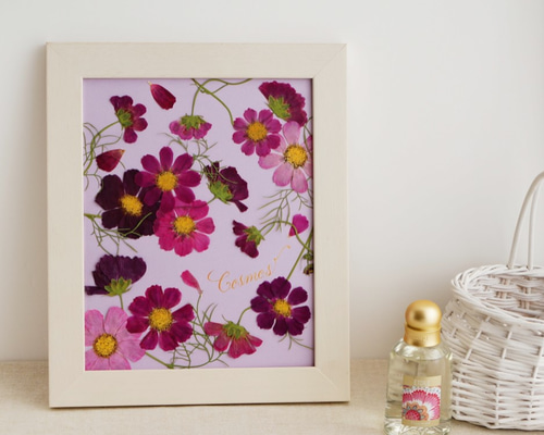 0_b00970f423fbd27906d6420ccd45